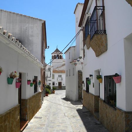 فيلا Moclinejo House مالقة المظهر الخارجي الصورة